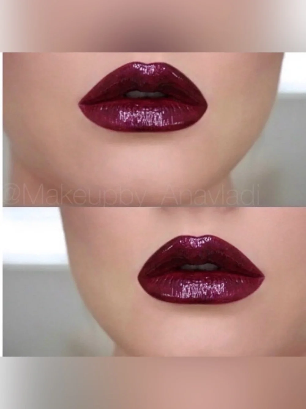 2 Anastasia Beverly Hills Bundle Lipglosses in Socialite and Venom & a lip case